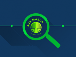 Pesquisa na internet